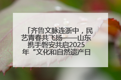 齐鲁文脉连浙中，民艺青春共飞扬——山东携手磐安共启2025年“文化和自然遗产日”系列活动