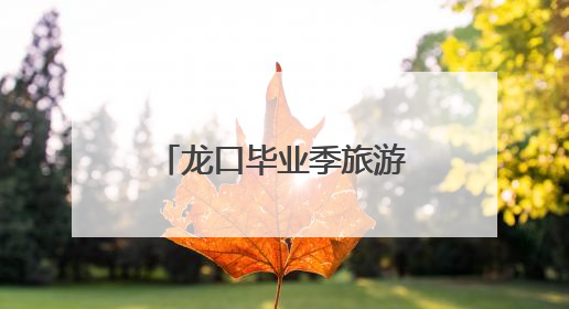 龙口毕业季旅游福利大放送，诚邀全国学子免费共赴夏日之约