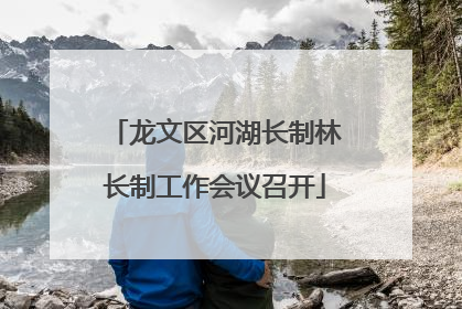 龙文区河湖长制林长制工作会议召开