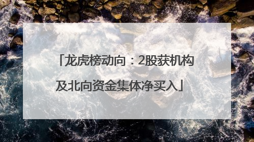 龙虎榜动向：2股获机构及北向资金集体净买入
