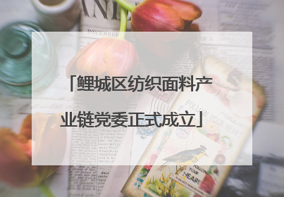 鲤城区纺织面料产业链党委正式成立