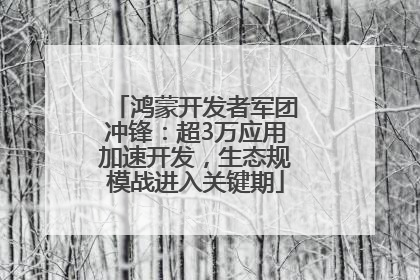 鸿蒙开发者军团冲锋：超3万应用加速开发，生态规模战进入关键期
