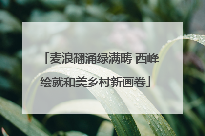 麦浪翻涌绿满畴 西峰绘就和美乡村新画卷