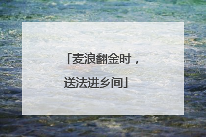 麦浪翻金时，送法进乡间