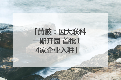 黄陂：因大联科一期开园 首批14家企业入驻