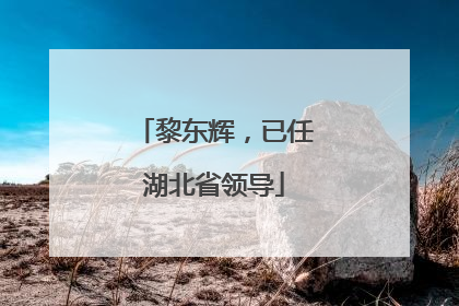 黎东辉，已任湖北省领导