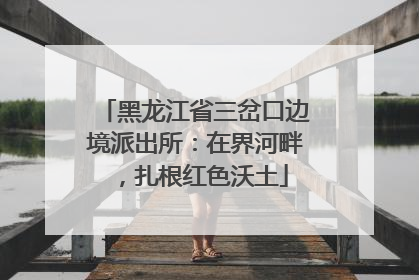 黑龙江省三岔口边境派出所：在界河畔，扎根红色沃土