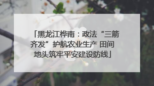 黑龙江桦南：政法“三箭齐发”护航农业生产 田间地头筑牢平安建设防线