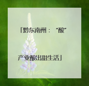 黔东南州：“酸”产业酿出甜生活