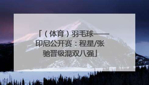 （体育）羽毛球——印尼公开赛：程星/张驰晋级混双八强
