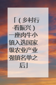 （乡村行·看振兴）一座肉牛小镇入选国家级农业产业强镇名单之后