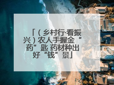 （乡村行·看振兴）农人手握金“药”匙 药材种出好“钱”景