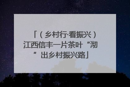 （乡村行·看振兴）江西信丰一片茶叶“沏”出乡村振兴路