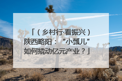 （乡村行·看振兴）陕西略阳：“小瓢儿”如何撬动亿元产业？
