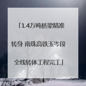 1.4万吨桥梁精准转身 南珠高铁玉岑段全线转体工程完工