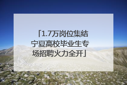 1.7万岗位集结 宁夏高校毕业生专场招聘火力全开