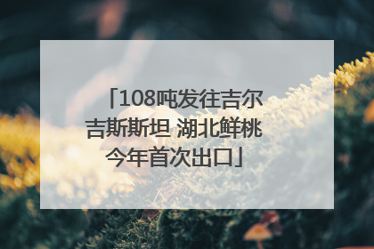 108吨发往吉尔吉斯斯坦 湖北鲜桃今年首次出口