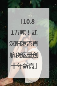 10.81万吨！武汉阳逻港直航货运量创十年新高