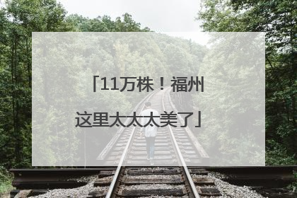 11万株！福州这里太太太美了