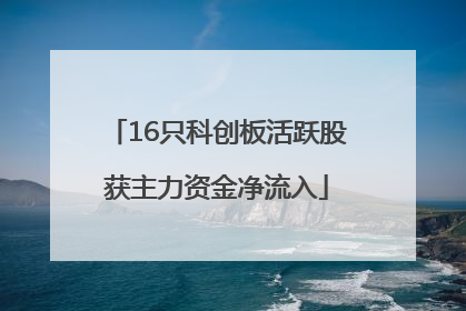 16只科创板活跃股获主力资金净流入