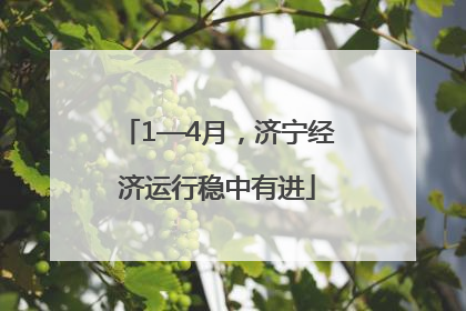 1—4月，济宁经济运行稳中有进