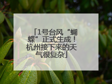 1号台风“蝴蝶”正式生成！杭州接下来的天气很复杂