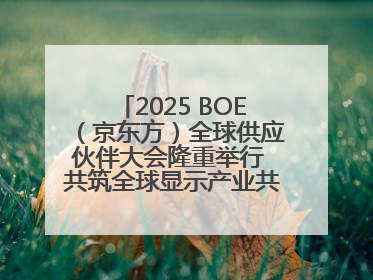 2025 BOE（京东方）全球供应伙伴大会隆重举行 共筑全球显示产业共生共赢新格局