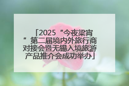 2025“今夜梁宵”第二届境内外旅行商对接会暨无锡入境旅游产品推介会成功举办