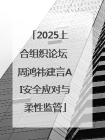 2025上合组织论坛 周鸿祎建言AI安全应对与柔性监管
