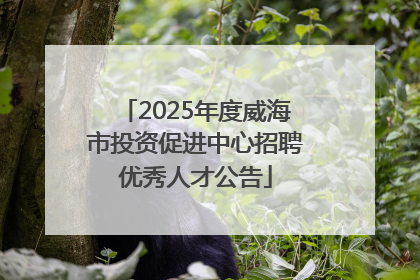 2025年度威海市投资促进中心招聘优秀人才公告