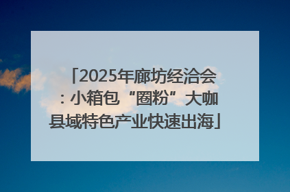 2025年廊坊经洽会：小箱包“圈粉”大咖 县域特色产业快速出海