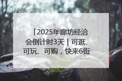 2025年廊坊经洽会倒计时3天｜可逛、可玩、可购，快来6街16巷逛市集