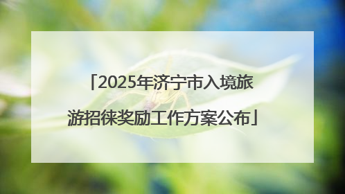 2025年济宁市入境旅游招徕奖励工作方案公布