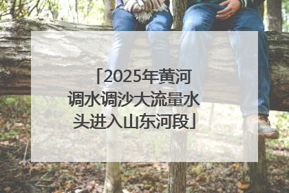 2025年黄河调水调沙大流量水头进入山东河段