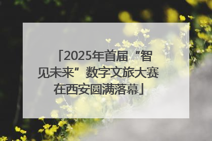 2025年首届“智见未来”数字文旅大赛在西安圆满落幕