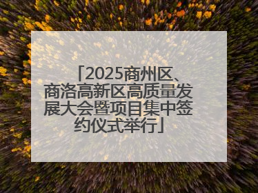 2025商州区、商洛高新区高质量发展大会暨项目集中签约仪式举行