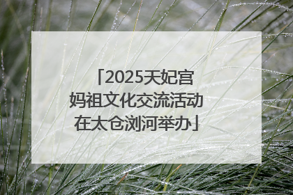 2025天妃宫妈祖文化交流活动在太仓浏河举办
