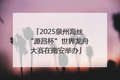 2025泉州海丝“源昌杯”世界龙舟大赛在南安举办