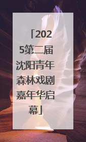 2025第二届沈阳青年森林戏剧嘉年华启幕
