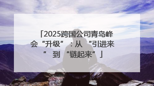 2025跨国公司青岛峰会“升级”：从 “引进来” 到 “链起来”