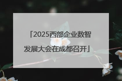 2025西部企业数智发展大会在成都召开