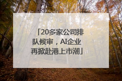 20多家公司排队候审，AI企业再掀赴港上市潮