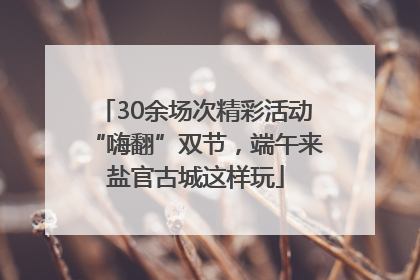 30余场次精彩活动“嗨翻”双节，端午来盐官古城这样玩