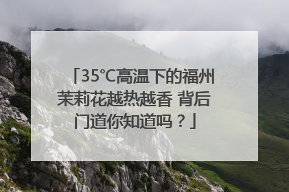 35℃高温下的福州茉莉花越热越香 背后门道你知道吗？