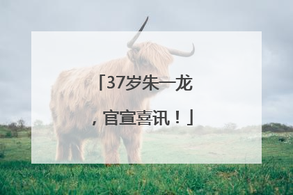 37岁朱一龙，官宣喜讯！