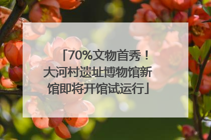 70%文物首秀！大河村遗址博物馆新馆即将开馆试运行