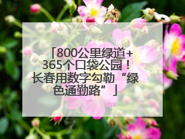 800公里绿道+365个口袋公园！长春用数字勾勒“绿色通勤路”