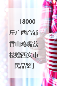 8000斤广西合浦香山鸡嘴荔枝赠西安市民品鉴