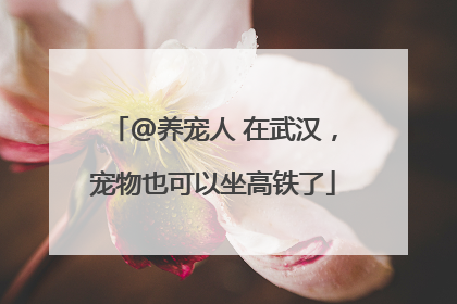 @养宠人 在武汉，宠物也可以坐高铁了