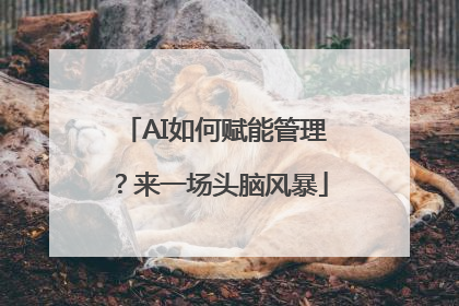 AI如何赋能管理？来一场头脑风暴